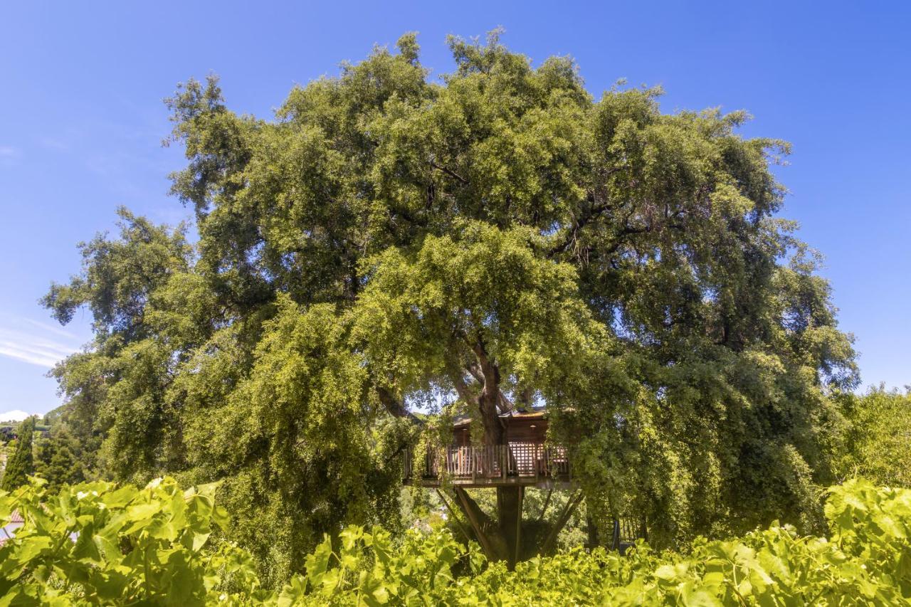 Chateau De Valmer La Croix-Valmer Eksteriør bilde