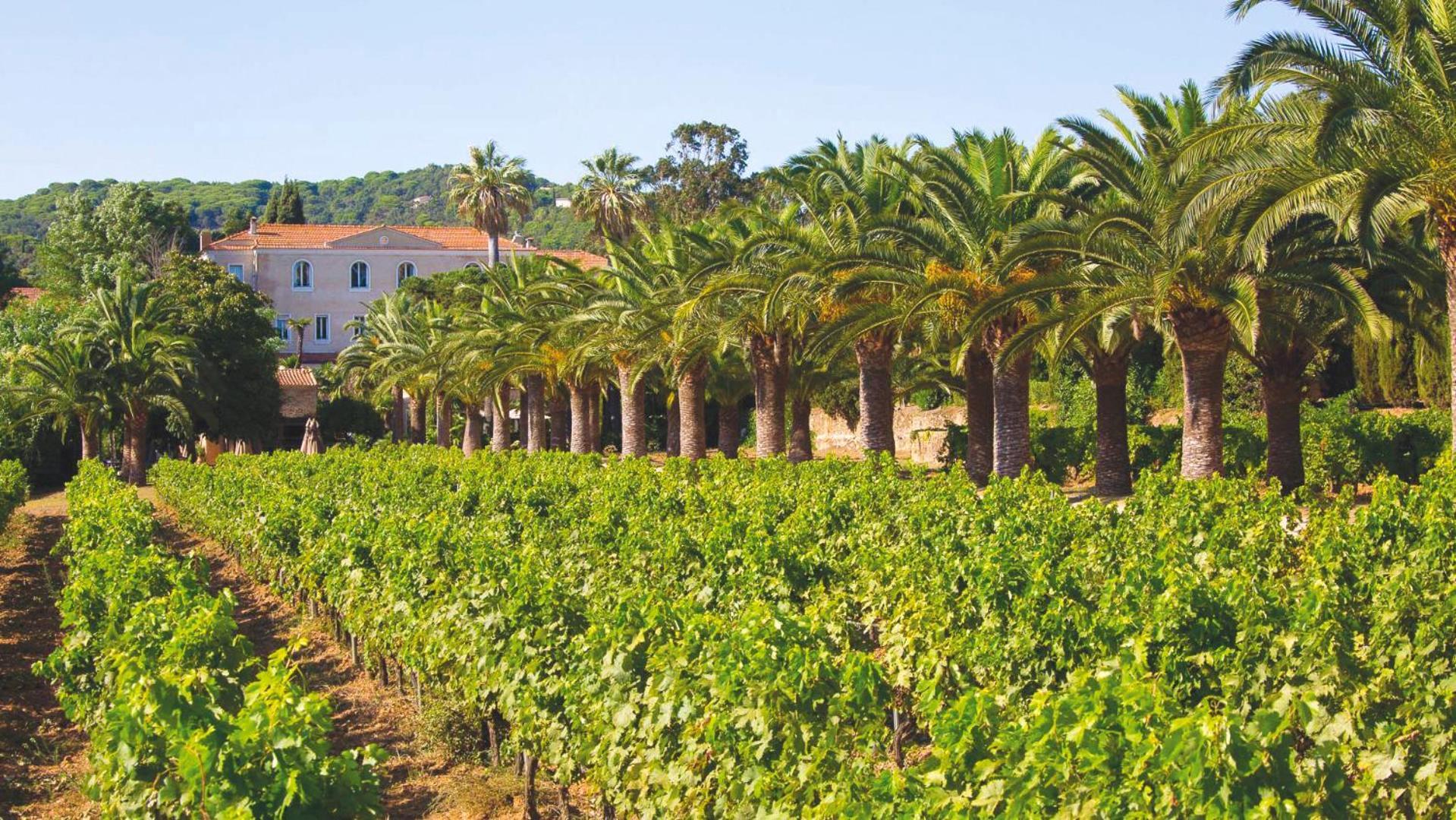 Chateau De Valmer La Croix-Valmer Eksteriør bilde